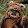 Ewok FromEndor Ewok FromEndor's profile photo