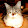 Romancha Pralapa Romancha Pralapa's profile photo