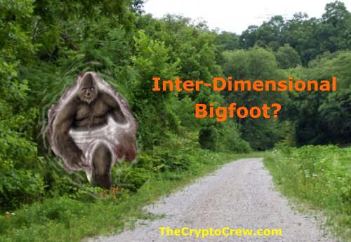 Inter Dimensional Bigfoot