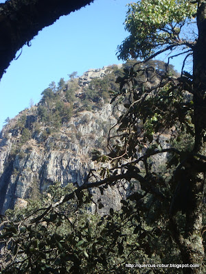 La Tetilla o cráter del Volcán de Tequila
