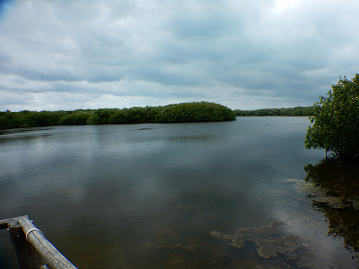 Isla Contoy