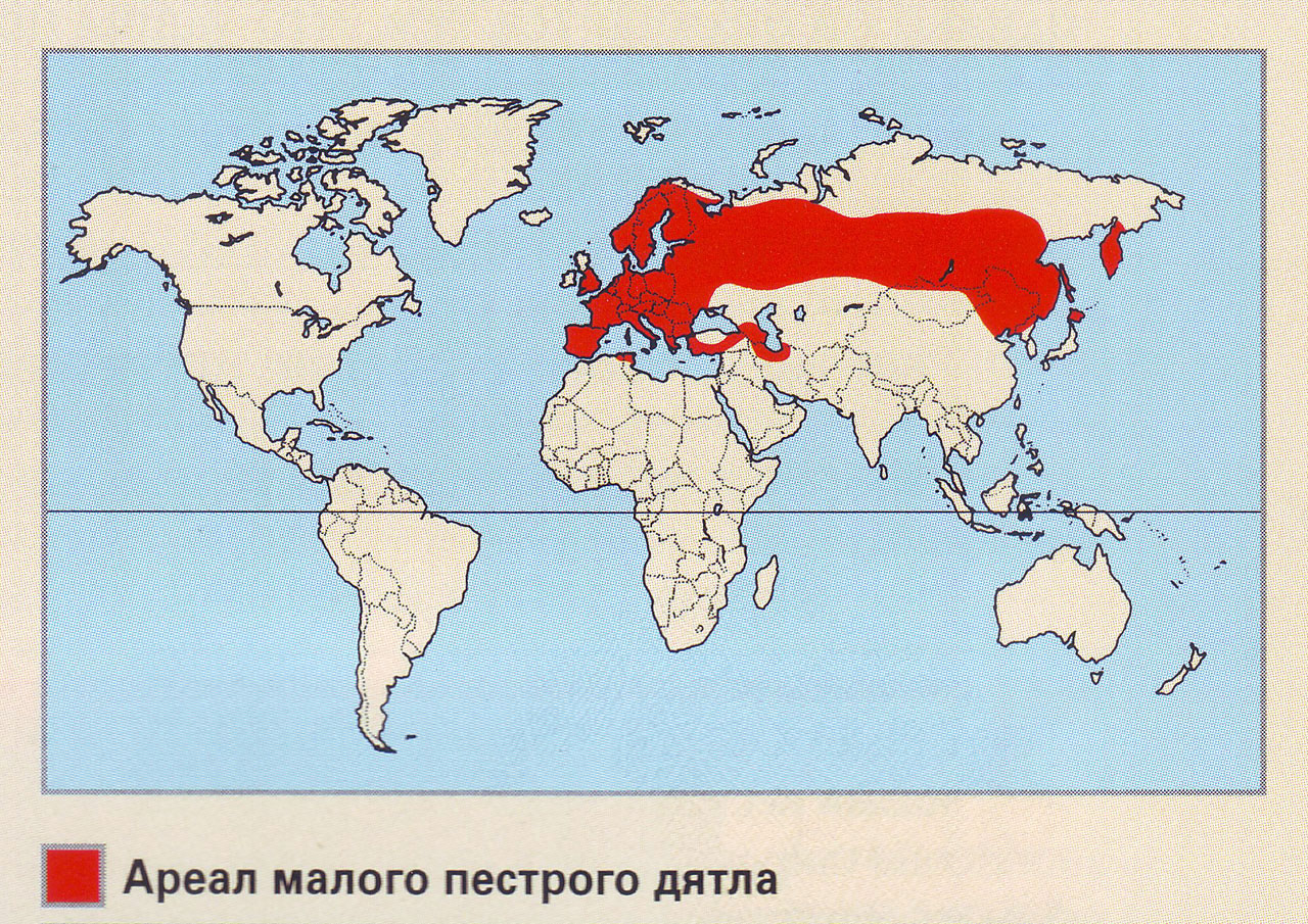 Вальдшнеп карта обитания