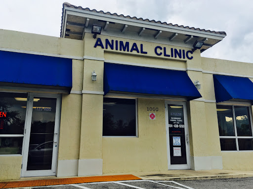 Veterinarian «Raspberry Animal Clinic», reviews and photos