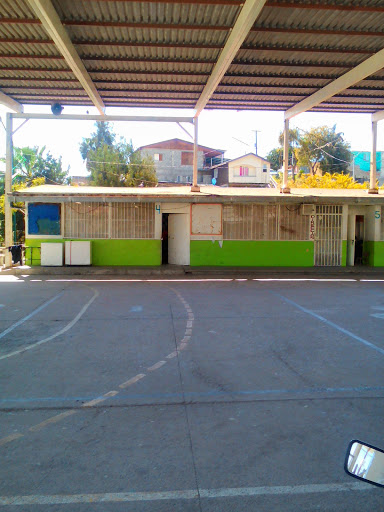Escuela Primaría Ulises Criollo, Vísta Alamar 17238, Otay Vista, Vista Alamar, 22450 Tijuana, B.C., México, Escuela primaria | BC
