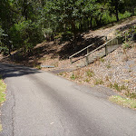 Wide trail with timber steps on the right at Richley Reserve (401650)