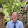 Michael Zelman Michael Zelman's profile photo