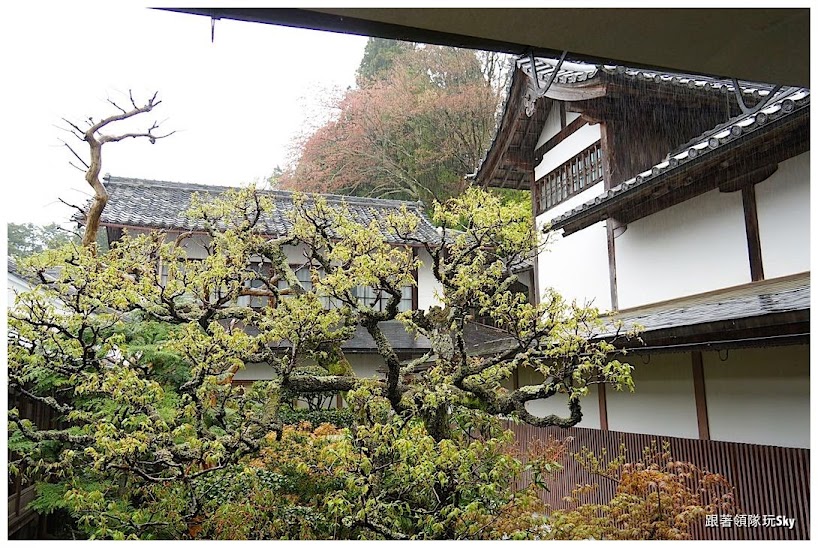 日本自由行景點推薦 – 一年四季都好看【京都大原 三千院】