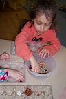 Child sort a collection of bean seeds into an egg carton.