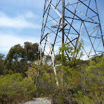High tension powerline tower west of Dead Horse Creek (446411)
