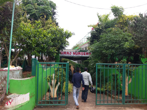 Siraj Nursery, Plot No. 946/2200, Hanspal Chhak, Near Komal Play School, Jaydev College Road, Naharkanta, Bhubaneswar, Odisha 752101, India, Plant_Nursery, state OD