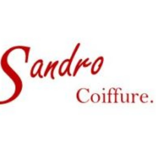 Sandro Coiffure logo