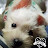 PhoeBe Lin avatar image