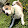 Carlos Lucero Carlos Lucero's profile photo