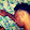 Archi Bal Archi Bal's profile photo