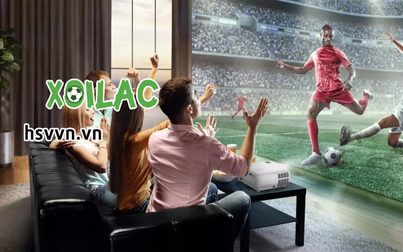 Những giải đấu lớn được kênh trực tiếp bóng đá Xoilac phát sóng miễn phí