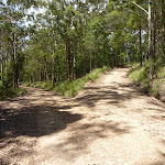Y-intersectin north of Heaton Lookout (359498)