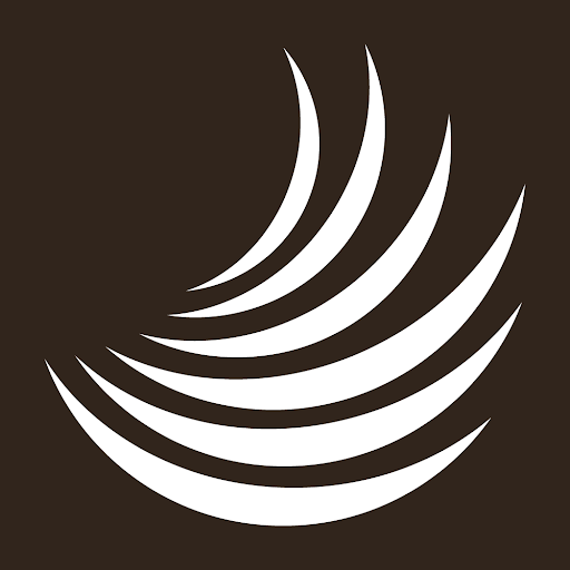 Salon 247 logo