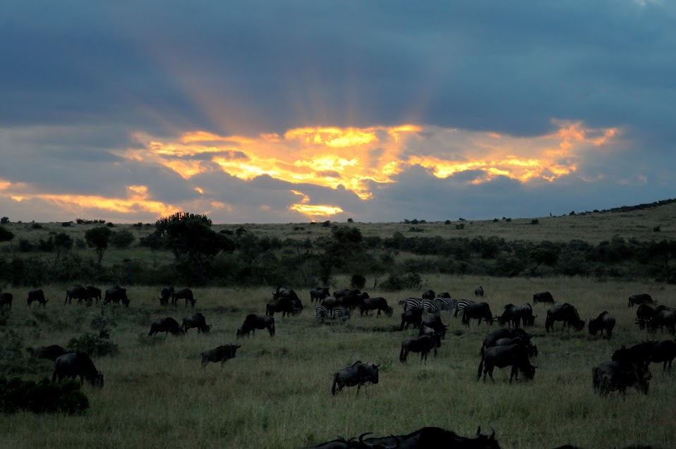 Masai Mara - Oeste de Kenya y Lago Victoria (2)