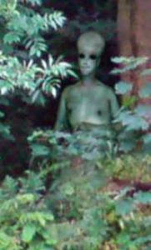 Alien Spotted In Mumbles Uk 9 July 2008 With Picture Proof