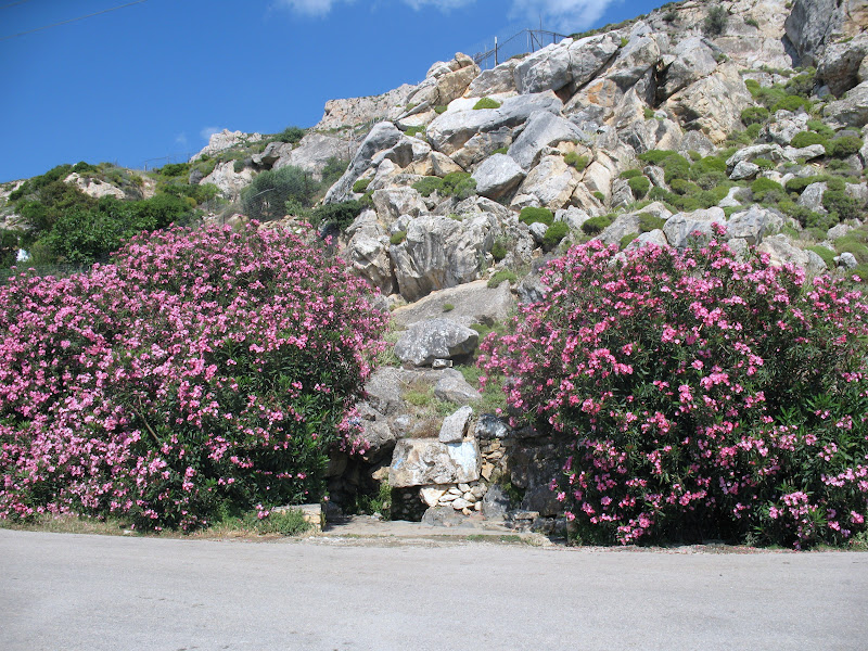 Tour to Skyros Island - Greece IMG_1539