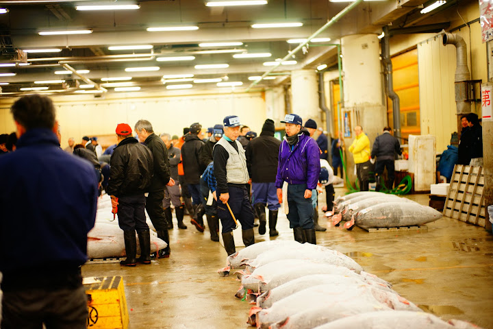 tuna auction atmosphere