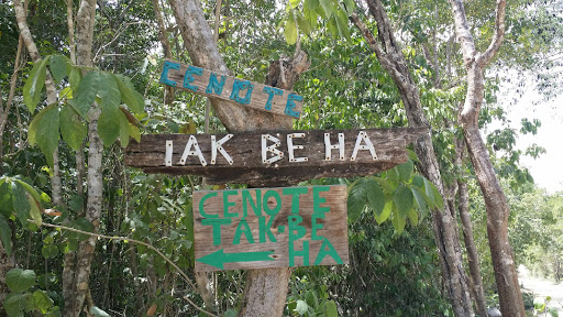 Cenote Tak Be Ha, 13, Tak Be Ha Rd, Q.R., México, Atracción turística | QROO