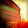 jony patterson jony patterson's profile photo
