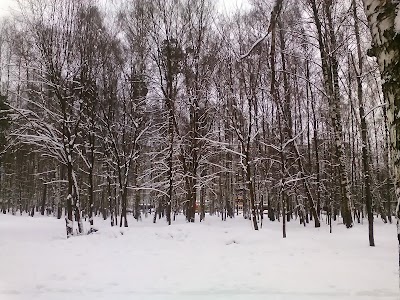 Photos of Noginskiy Gorodskoy Park Kultury