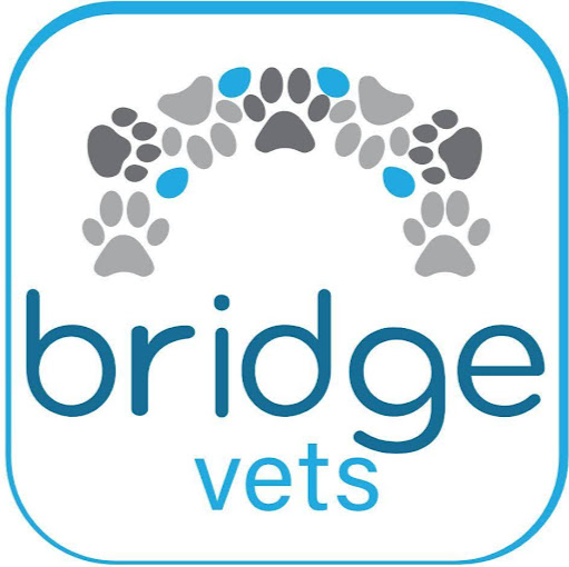 Bridge Vets logo