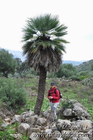Aljibes en la Sierra de Ubrique