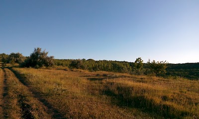 Photos of Movila Măgura