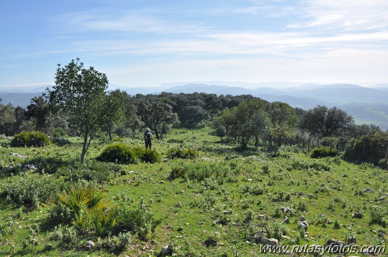 Cerros Albarracinejo-Peñuelas-Ponce-Albarracin y Alto del Puntal