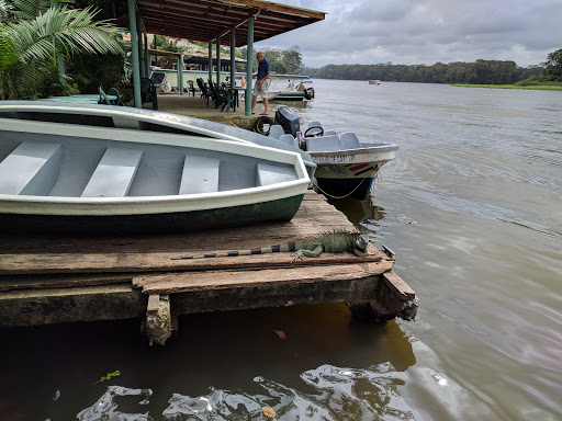 Casa Marbella Tortuguero Bed and Breakfast
