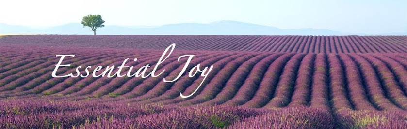 Essential Joy