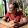 Siddharth Prakash Singh Siddharth Prakash Singh's profile photo