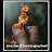 Momin Waseem avatar image