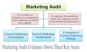 what is marketing audit definition meaning