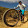 mike dunn mike dunn's profile photo