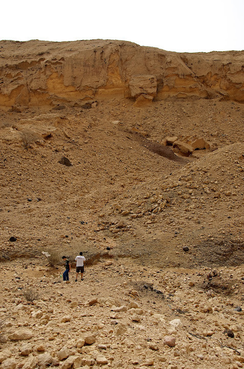 Collapsed cliff