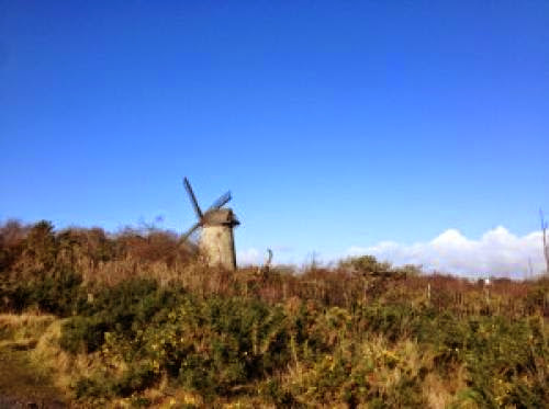 The Benefits A Wind Turbine Can Bring To Bidston Hill