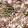 Jessica Chow Jessica Chow's profile photo