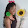 Luz Marina Planes Luz Marina Planes's profile photo
