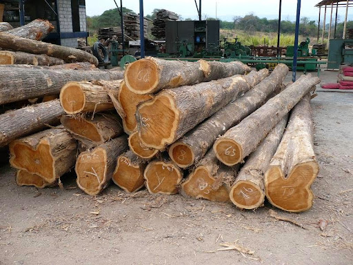 Ganesh Timber Traders, NH200, Mitan Vihar, Jagriti Nagar, Fafadih, Raipur, Chhattisgarh 492001, India, Timber_Merchant, state RJ