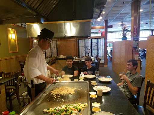 Restaurant «Mt Fuji Japanese Restaurant», reviews and photos, 830 County Rd 64, Elmira, NY 14903, USA