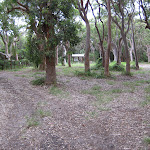 Looking across most of the campsite