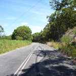 The old Pacific Hwy as part of the Wallarah Pennisula walk (388877)