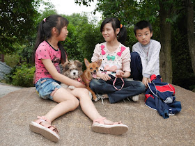 two girls and a boy with two dogs sitting on a rock in Hengyang, Hunan, China