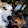 Mike Randazzo Mike Randazzo's profile photo
