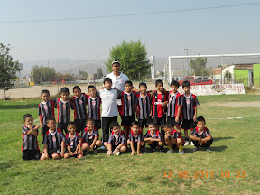 Picasa