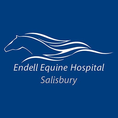 Endell Equine Hospital logo